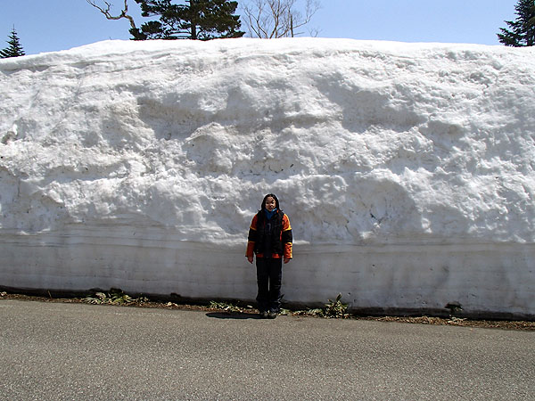 磐梯吾妻スカイラインの雪の回廊